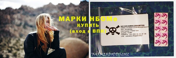 прущие грибы Белокуриха