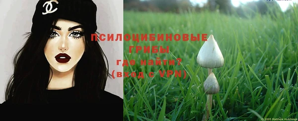 прущие грибы Белокуриха