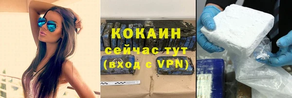 прущие грибы Белокуриха