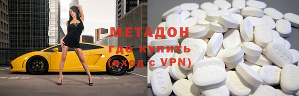 прущие грибы Белокуриха