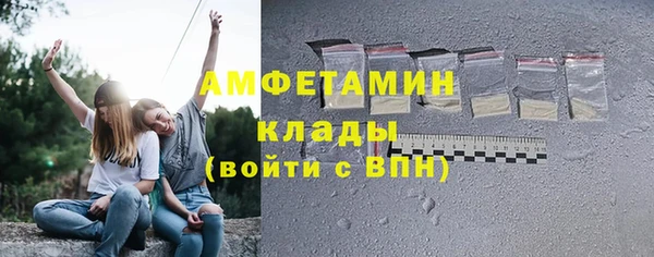 прущие грибы Белокуриха