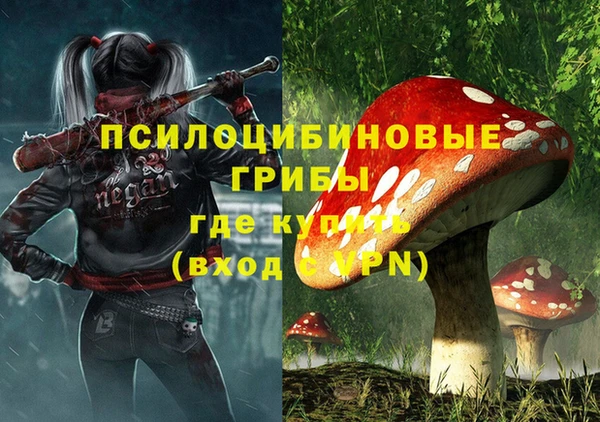 прущие грибы Белокуриха