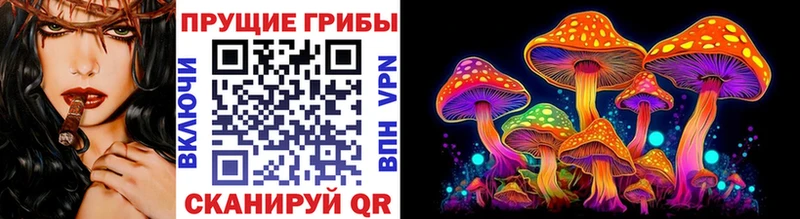 Галлюциногенные грибы Psilocybine cubensis  Сковородино 